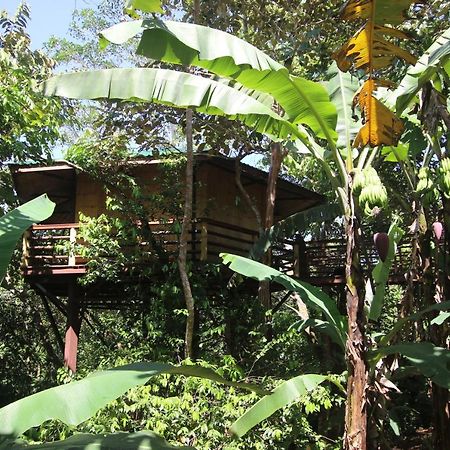 Treehouse Pilon Pavones Villa Pavones  Exterior photo