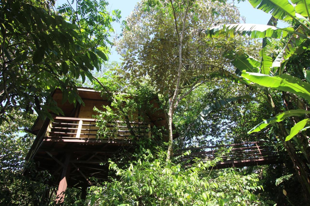 Treehouse Pilon Pavones Villa Pavones  Exterior photo