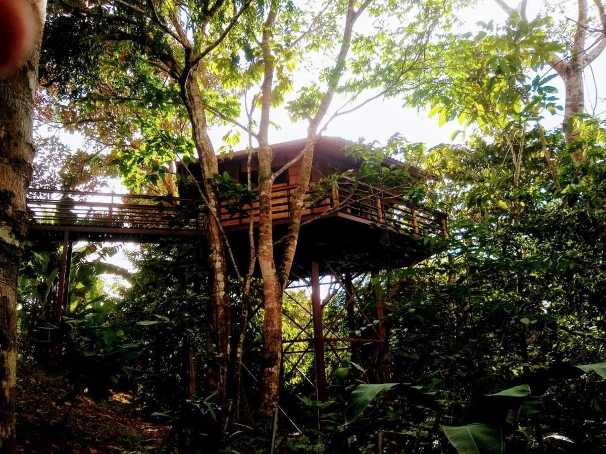 Treehouse Pilon Pavones Villa Pavones  Exterior photo