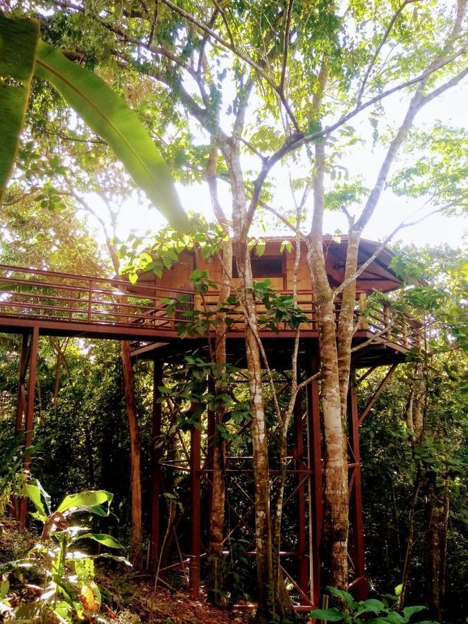 Treehouse Pilon Pavones Villa Pavones  Exterior photo
