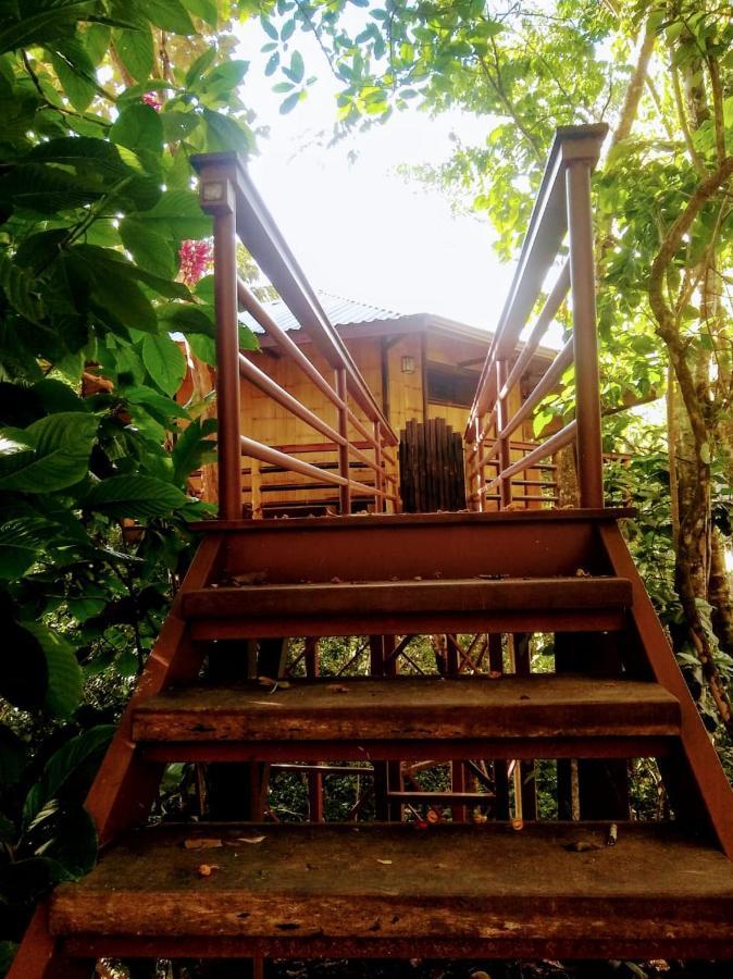 Treehouse Pilon Pavones Villa Pavones  Exterior photo