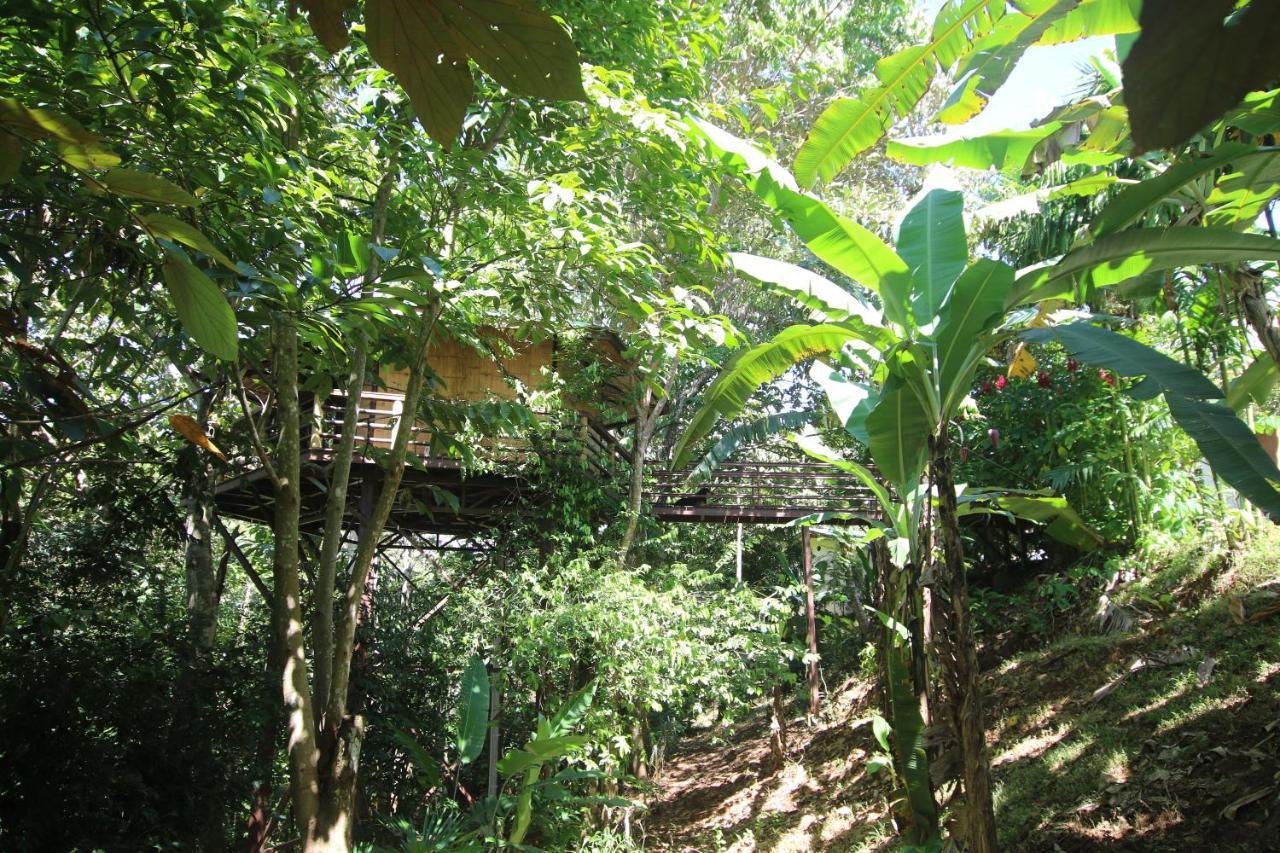 Treehouse Pilon Pavones Villa Pavones  Exterior photo
