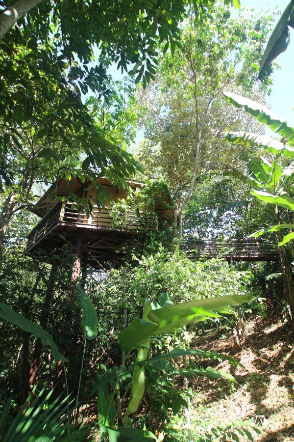 Treehouse Pilon Pavones Villa Pavones  Exterior photo