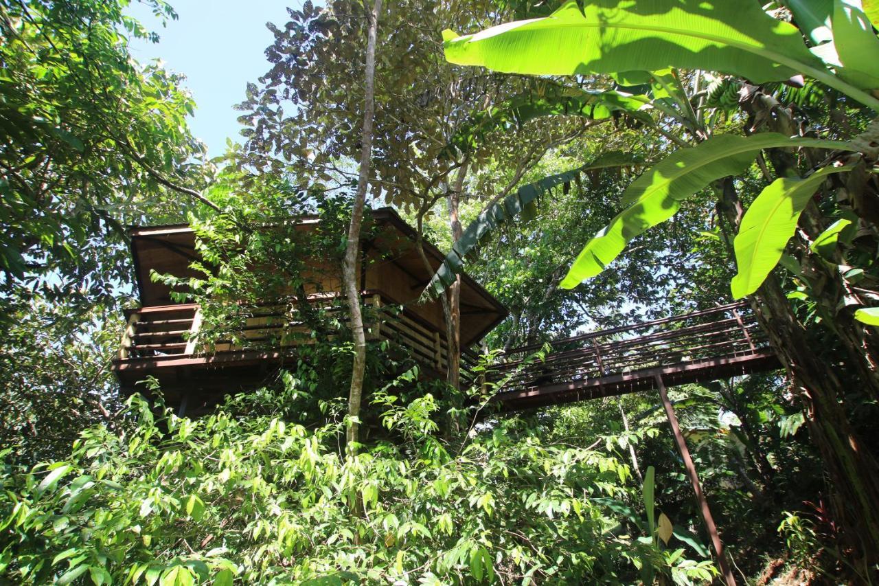 Treehouse Pilon Pavones Villa Pavones  Exterior photo
