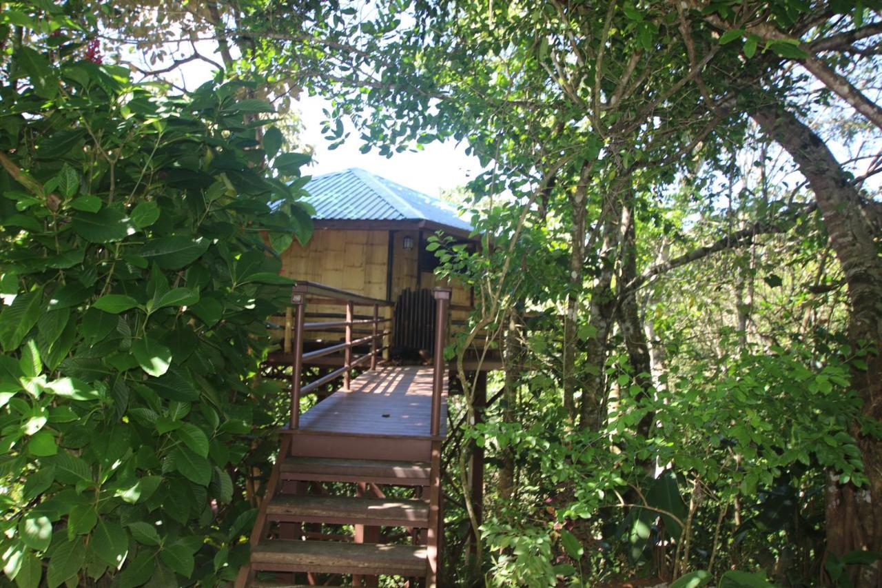 Treehouse Pilon Pavones Villa Pavones  Exterior photo