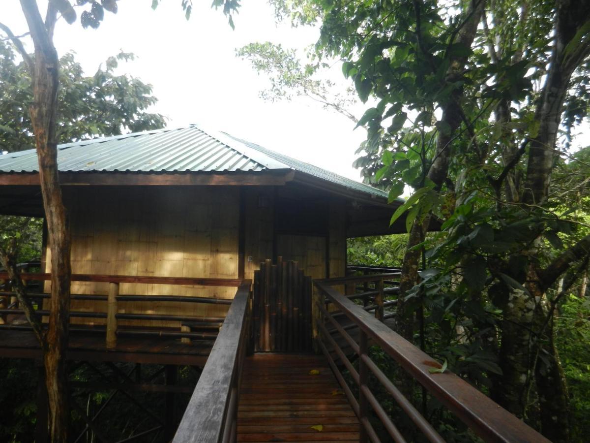 Treehouse Pilon Pavones Villa Pavones  Exterior photo