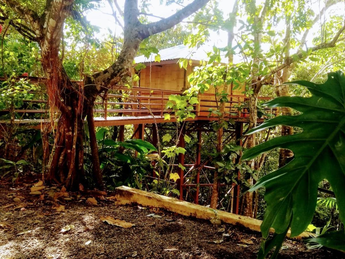 Treehouse Pilon Pavones Villa Pavones  Exterior photo