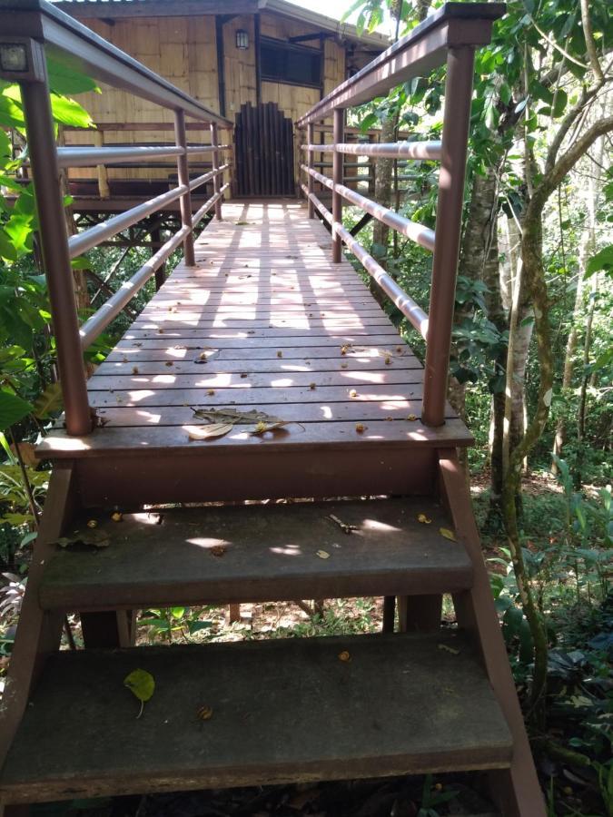 Treehouse Pilon Pavones Villa Pavones  Exterior photo