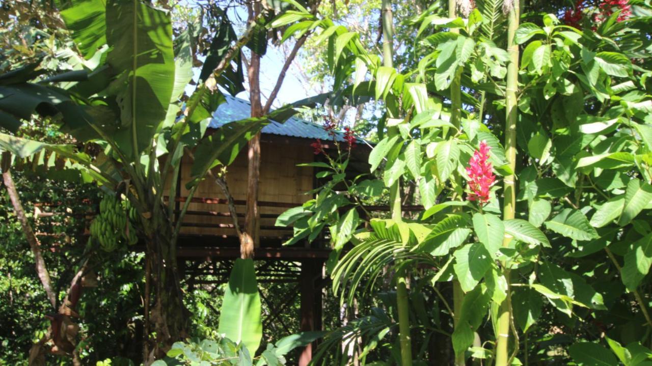 Treehouse Pilon Pavones Villa Pavones  Exterior photo