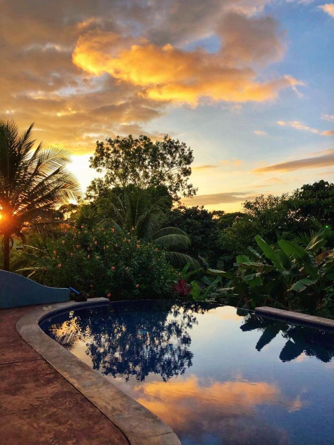 Treehouse Pilon Pavones Villa Pavones  Exterior photo